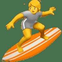 surfingcomplexity avatar