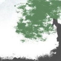 terrytao avatar
