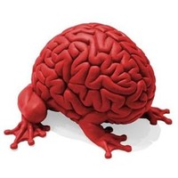 thenumbat avatar