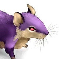xen0bit avatar